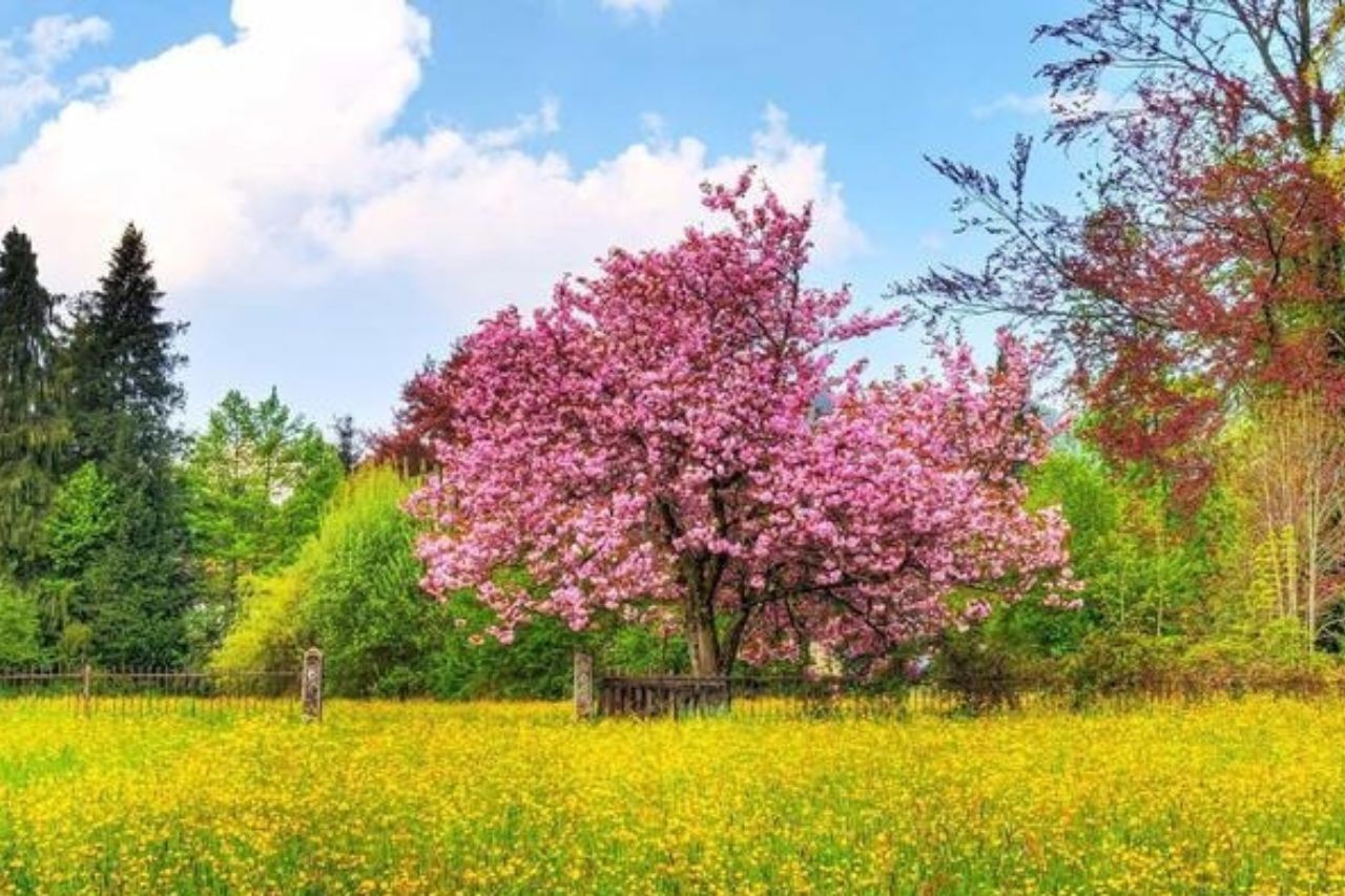 Tuổi Tý, Sửu, Thìn, Hợi sẽ đón nhận vận may dồi dào trong 3 tháng tới. Ảnh minh họa: Internet