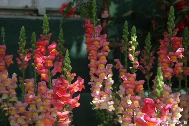 Tuổi Tý, tuổi Tỵ và tuổi Hợi là 3 con giáp được thần May Mắn gọi tên trong tháng 9 Âm lịch. Ảnh minh họa: Internet Tuổi Tý, tuổi Tỵ và tuổi Hợi là 3 con giáp được thần May Mắn gọi tên trong tháng 9 Âm lịch. Ảnh minh họa: Internet