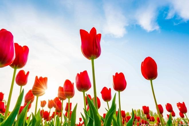 Tuổi Ngọ, tuổi Sửu và tuổi Hợi là 3 con giáp gặp được quý nhân trong tháng 9-10 Âm lịch. Ảnh minh họa: Internet Tuổi Ngọ, tuổi Sửu và tuổi Hợi là 3 con giáp gặp được quý nhân trong tháng 9-10 Âm lịch. Ảnh minh họa: Internet