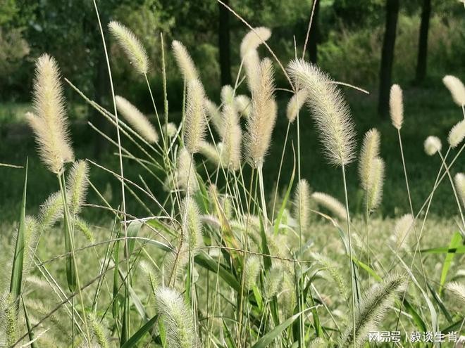 Tuổi Ngọ, tuổi Thân, tuổi Hợi sẽ gặp được quý nhân đưa đường chỉ lối sau ngày 26/10. Ảnh minh họa: Internet