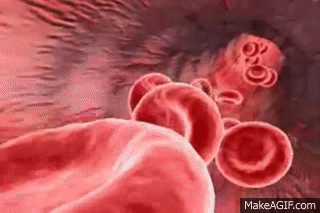 Truyền máu có truyền đi tính cách của người hiến tặng?