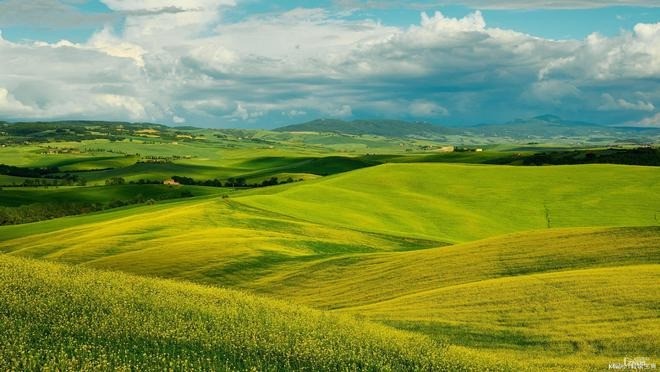 Tuổi Dậu, tuổi Tuất, tuổi Sửu là 3 con giáp may mắn được quý nhân che chở trong tháng 11. Ảnh minh họa: Internet