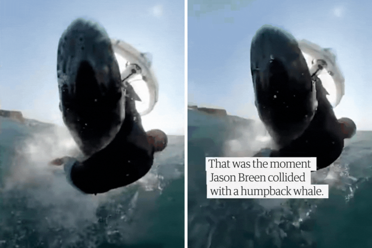 Clip: VĐV lướt sóng bị 'thủy quái' nặng hàng chục tấn quăng quật giữa đại dương gây thót tim