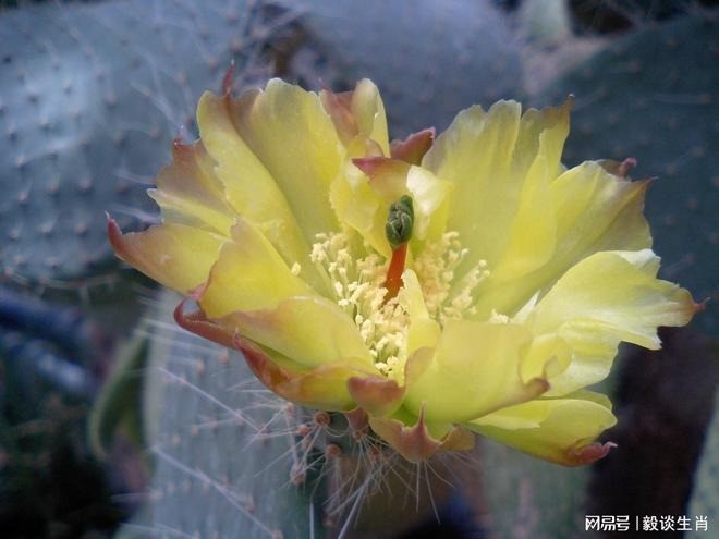 Tuổi Tý, tuổi Tỵ, tuổi Dậu là 3 con giáp vượng quý nhân từ nay đến cuối năm 2023. Ảnh minh họa: Internet