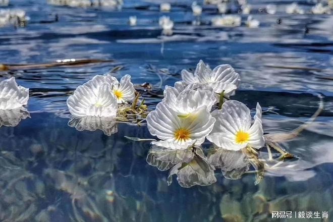 Tuổi Tý, tuổi Dần, tuổi Hợi được quý nhân và Thần Tài hộ mệnh sau ngày 3/11. Ảnh minh họa: Internet