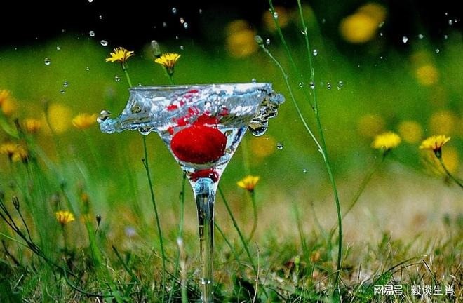 Tuổi Dần, tuổi Dậu, tuổi Mùi là 3 con giáp đón nhiều tin vui trong 66 ngày tới. Ảnh minh họa: Internet Tuổi Dần, tuổi Dậu, tuổi Mùi là 3 con giáp đón nhiều tin vui trong 66 ngày tới. Ảnh minh họa: Internet