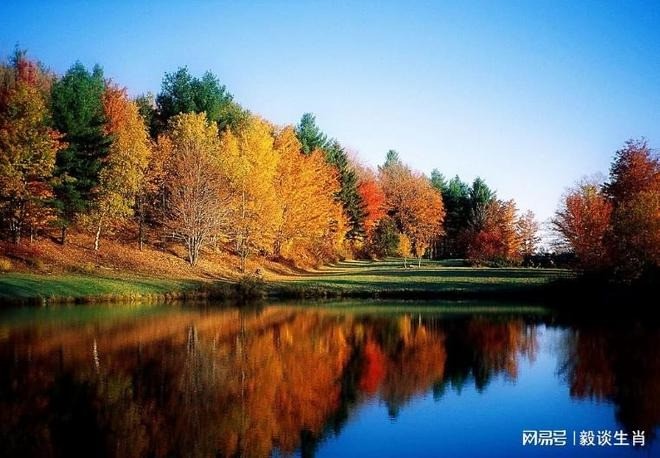 Tuổi Thân, tuổi Dậu, tuổi Ngọ là 3 con giáp gặp may từ ngày 4-24/11. Ảnh minh họa: Internet