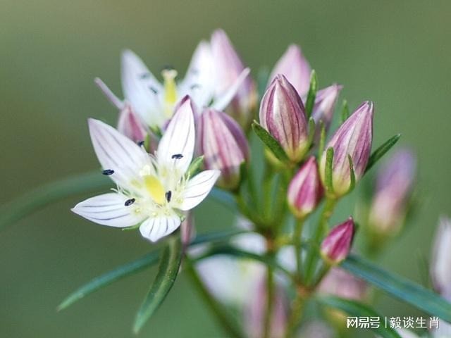 Tuổi Tý, tuổi Sửu, tuổi Mão sẽ lội ngược dòng thành công sau ngày 8/11. Ảnh minh họa: Internet