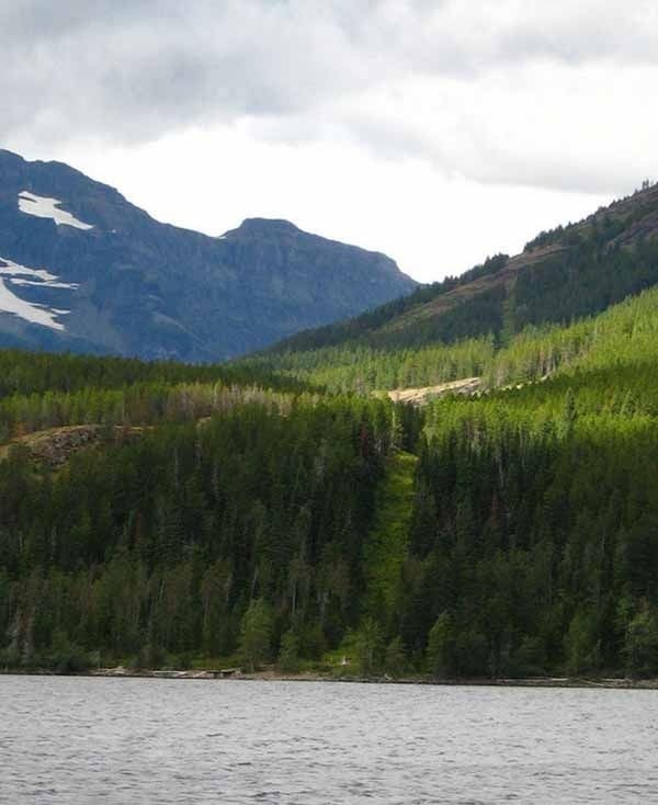 Trải dài hơn 5.500 dặm, biên giới Mỹ - Canada là biên giới quốc tế dài nhất thế giới.