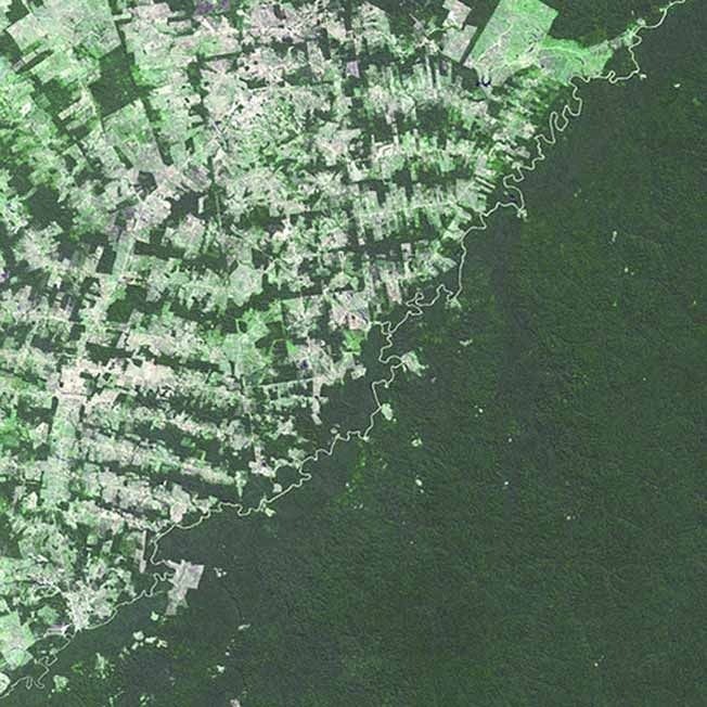 Con sông đánh dấu biên giới giữa Brazil và Bolivia. Có thể thấy nạn phá rừng nghiêm trọng ở Brazil trong bức ảnh này.