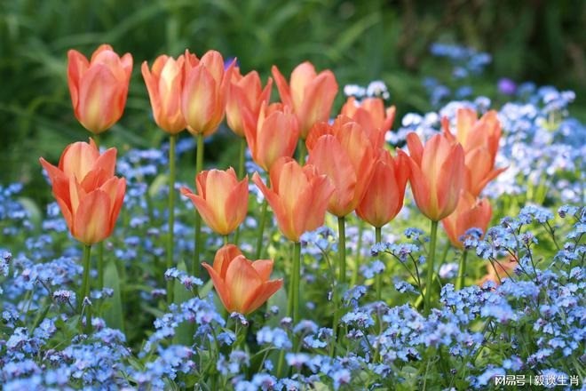 Tuổi Tý, tuổi Thân, tuổi Dần là 3 con giáp may mắn trong 10 ngày tiếp theo. Ảnh minh họa: Internet