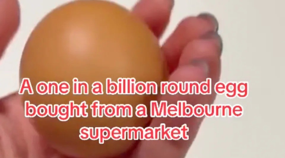 Hiện vẫn chưa rõ có ai sẵn sàng bỏ ra 800 USD mua quả trứng này hay không, nhưng trước đó từng có nhiều trường hợp bán được quả trứng hiếm tương tự với giá rất cao. Ảnh: Yahoo News