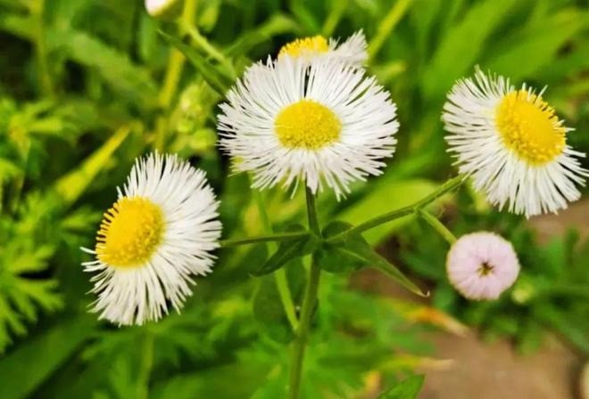 Phụ nữ lâu ngày thiếu tình yêu: Bạn có phải nạn nhân của 4 biểu hiện 'bất thường' này? - Ảnh 1 Phụ nữ lâu ngày thiếu tình yêu: Bạn có phải nạn nhân của 4 biểu hiện 'bất thường' này? - Ảnh 1