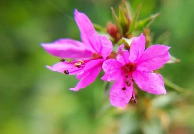 Phụ nữ lâu ngày thiếu tình yêu: Bạn có phải nạn nhân của 4 biểu hiện 'bất thường' này? - Ảnh 2 Phụ nữ lâu ngày thiếu tình yêu: Bạn có phải nạn nhân của 4 biểu hiện 'bất thường' này? - Ảnh 2