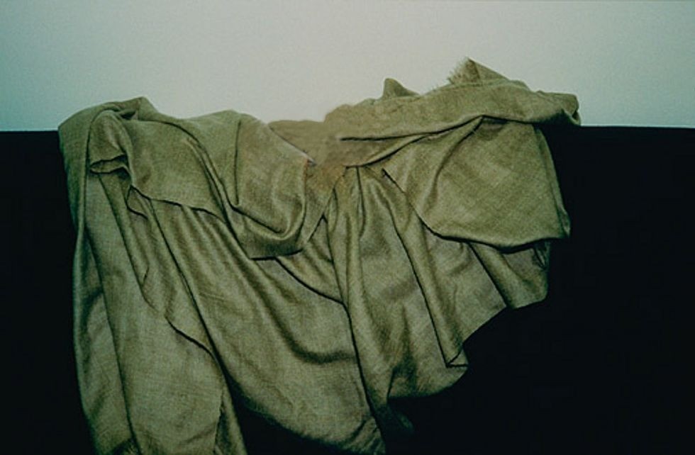 Một chiếc shahtoosh bị cục Hoang dã và Cá Hoa Kỳ tịch thu. Ảnh: Internet