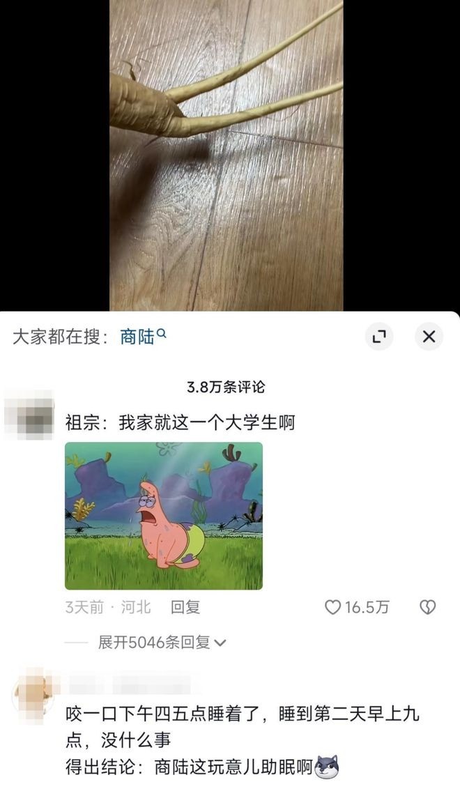 Cây 'nhân sâm' mà nữ du học sinh Trung Quôc đào được. Ảnh: Internet Cây 'nhân sâm' mà nữ du học sinh Trung Quôc đào được. Ảnh: Internet