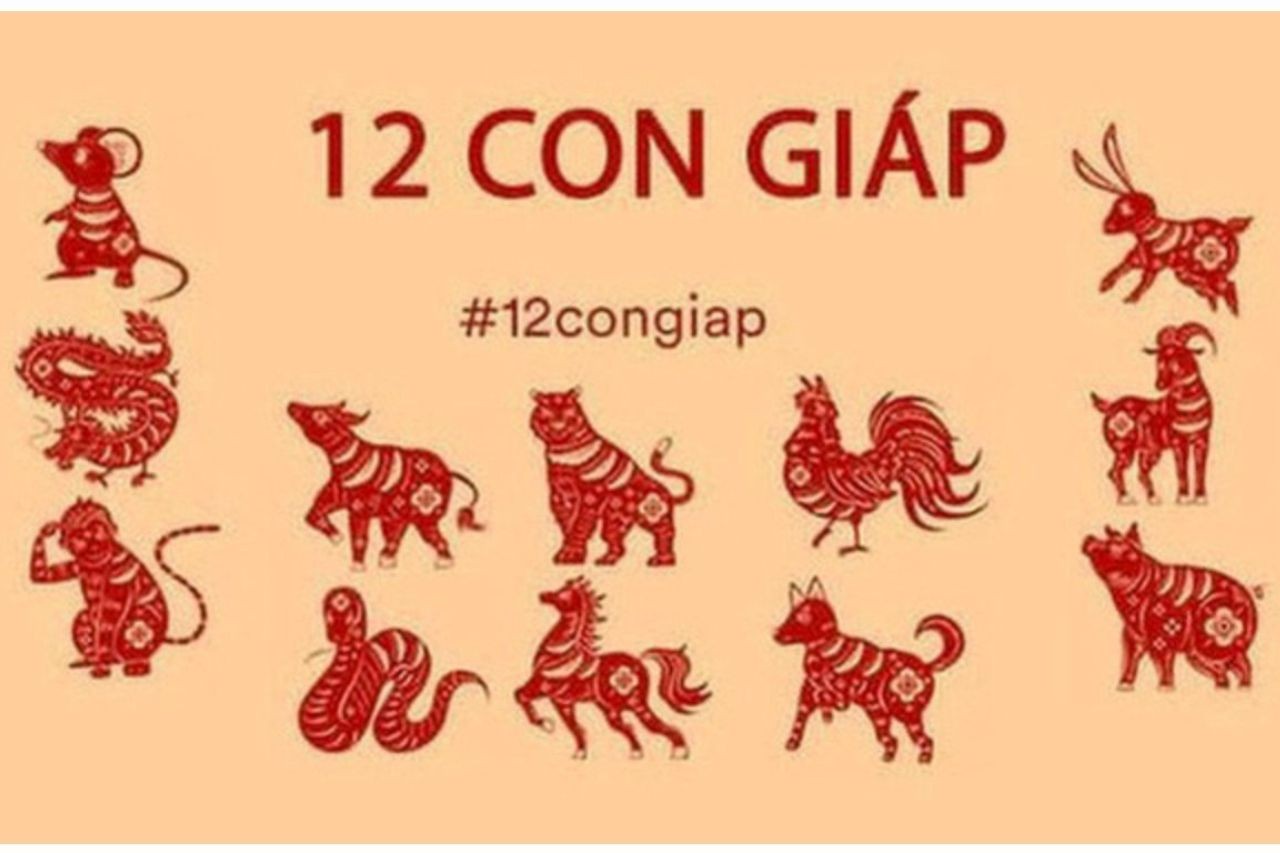 12 con giáp. Ảnh minh họa: Internet