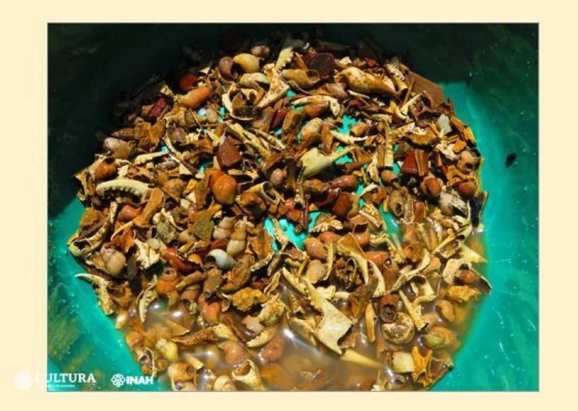 Một số thực phẩm 1.100 năm tuổi được tìm thấy tại cung điện. Ảnh: Internet