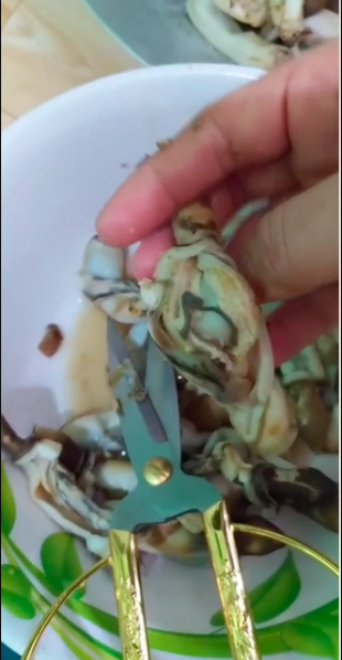 Cô gái nói phần đen của ốc là sán Cô gái nói phần đen của ốc là sán