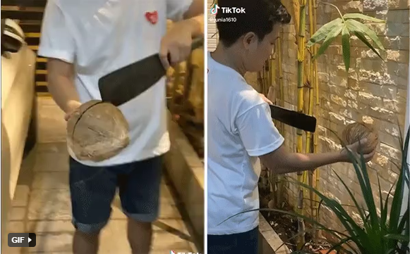 Nhã Phương thót tim với màn bổ dừa cực lầy của Trường Giang - Ảnh 1 Nhã Phương thót tim với màn bổ dừa cực lầy của Trường Giang - Ảnh 1