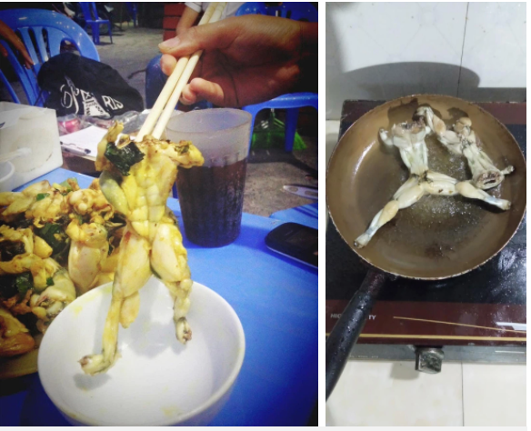 Hình ảnh những món làm từ ếch dễ với hình dáng hài hước được chia sẻ nhiều lần trên mạng xã hội (Ảnh: Mơ Vũ - hội Hình ảnh những món làm từ ếch dễ với hình dáng hài hước được chia sẻ nhiều lần trên mạng xã hội (Ảnh: Mơ Vũ - hội