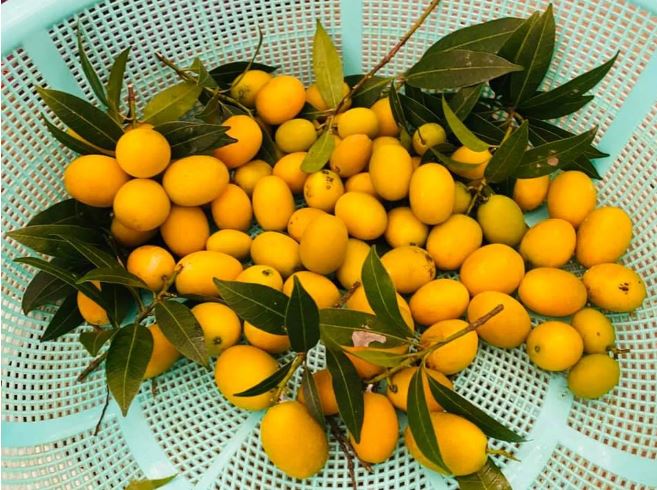 Cuộc sống bình dị phía sau ánh hào quang của hoa hậu Nguyễn Thị Huyền - Ảnh 7 Cuộc sống bình dị phía sau ánh hào quang của hoa hậu Nguyễn Thị Huyền - Ảnh 7