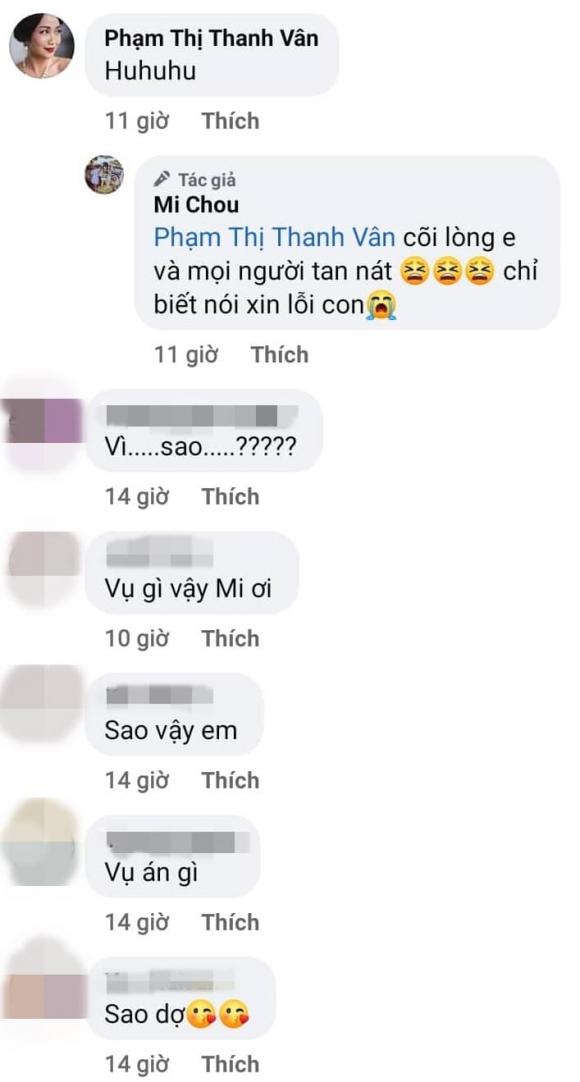 Ốc Thanh Vân sau đó cũng vào bình luận. Ảnh: Facebook