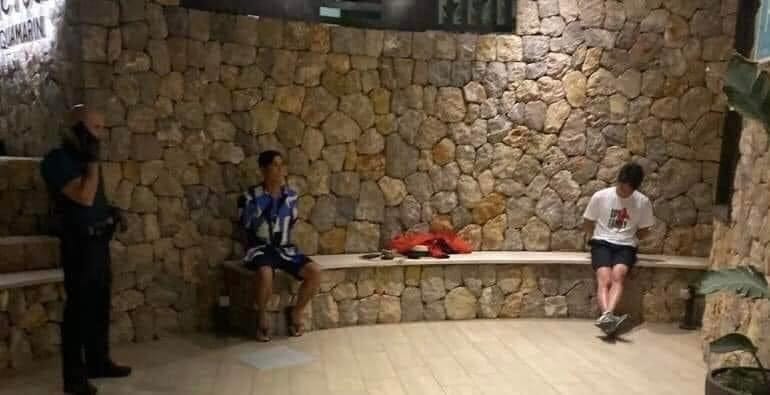 Vừa đăng đàn chúc mừng Hồng Đăng và Hồ Hoài Anh, Cát Phượng đã nhận về 'rổ gạch đá' - Ảnh 3 Vừa đăng đàn chúc mừng Hồng Đăng và Hồ Hoài Anh, Cát Phượng đã nhận về 'rổ gạch đá' - Ảnh 3
