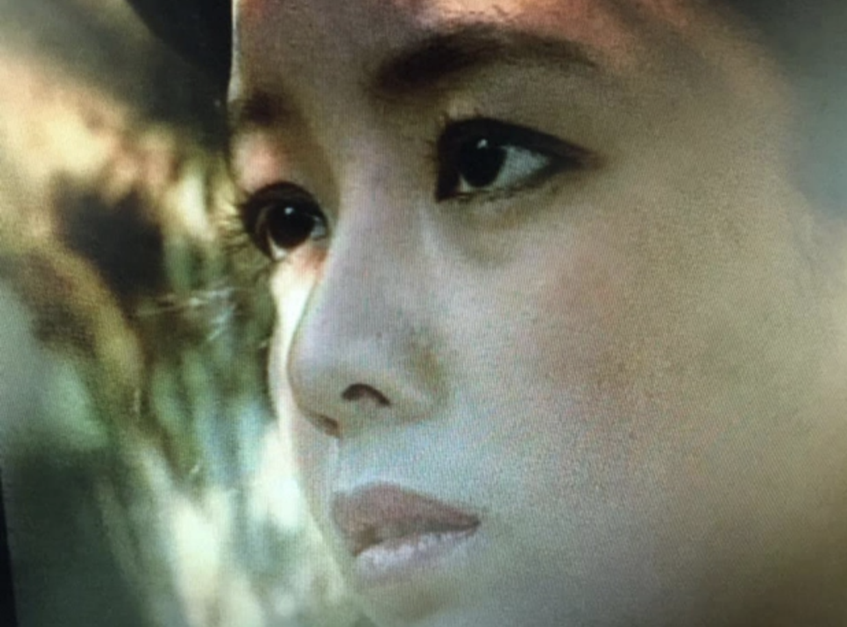 Nữ NS mang những nét đẹp dịu dàng của người con gái Hà thành. Ảnh: Internet