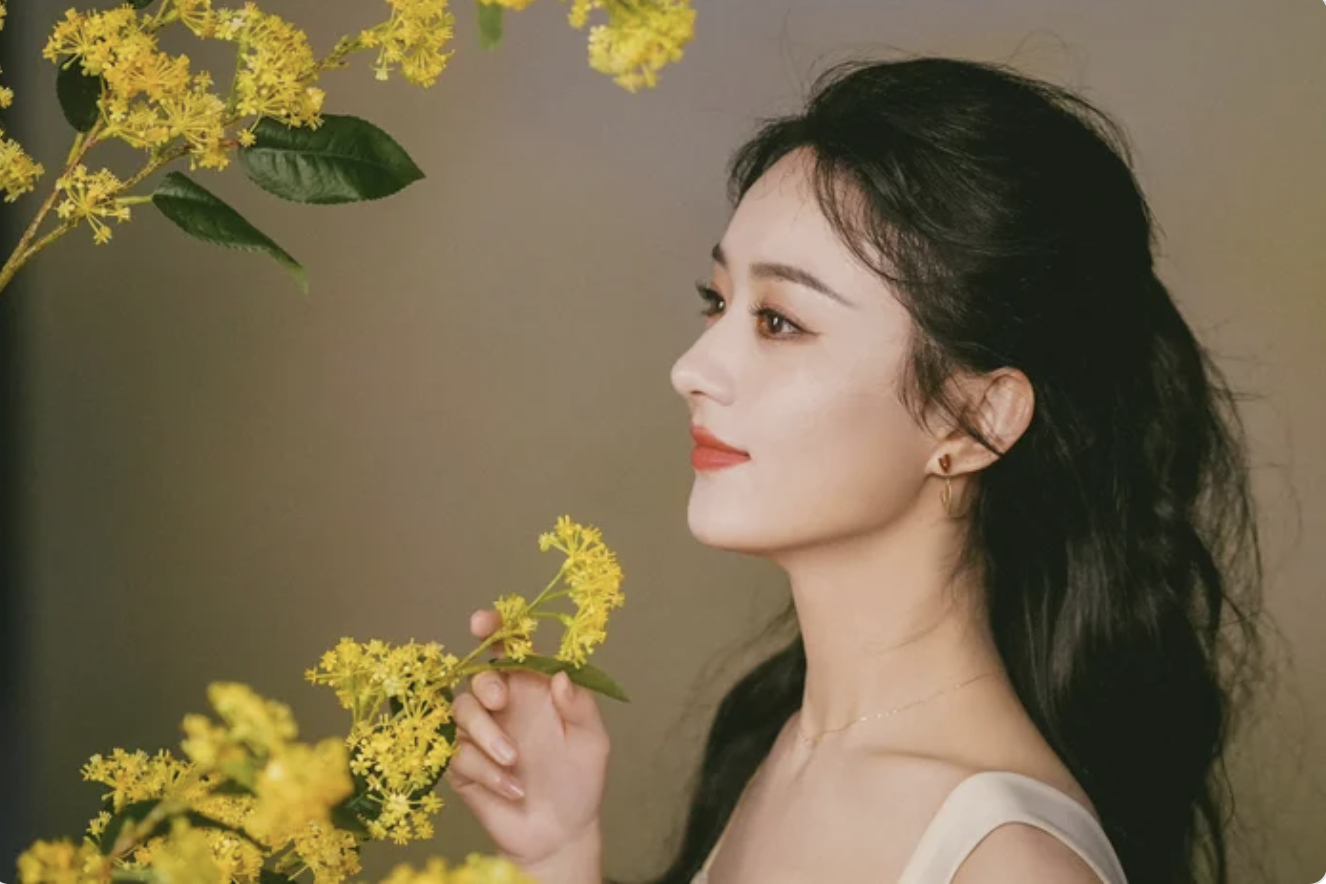 Nhan sắc thanh thuần của Triệu Lệ Dĩnh. Ảnh: Internet