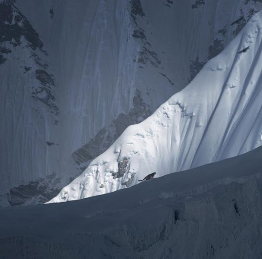 Nữ NAG đi bộ 165km ở Nepal chỉ để săn ảnh của loài động vật quý hiếm này! - Ảnh 1