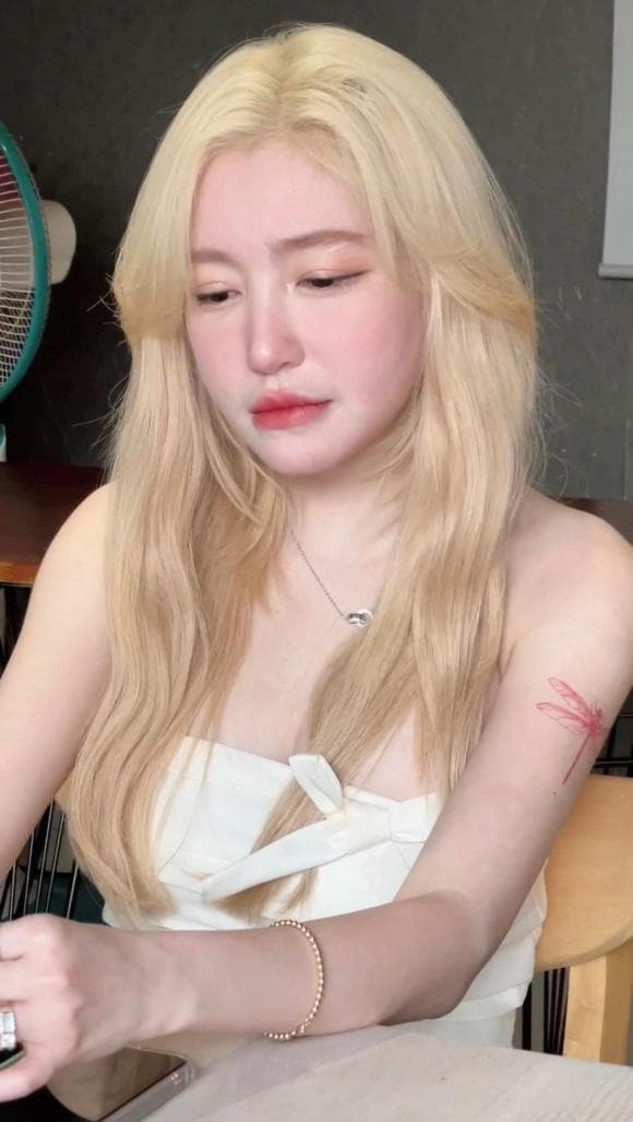 Elly Trần tiết lộ mình đã bật khóc khi Diệp Lâm Anh không nhận được quyền nuôi cả 2 con. Ảnh: Facebook Elly Trần tiết lộ mình đã bật khóc khi Diệp Lâm Anh không nhận được quyền nuôi cả 2 con. Ảnh: Facebook