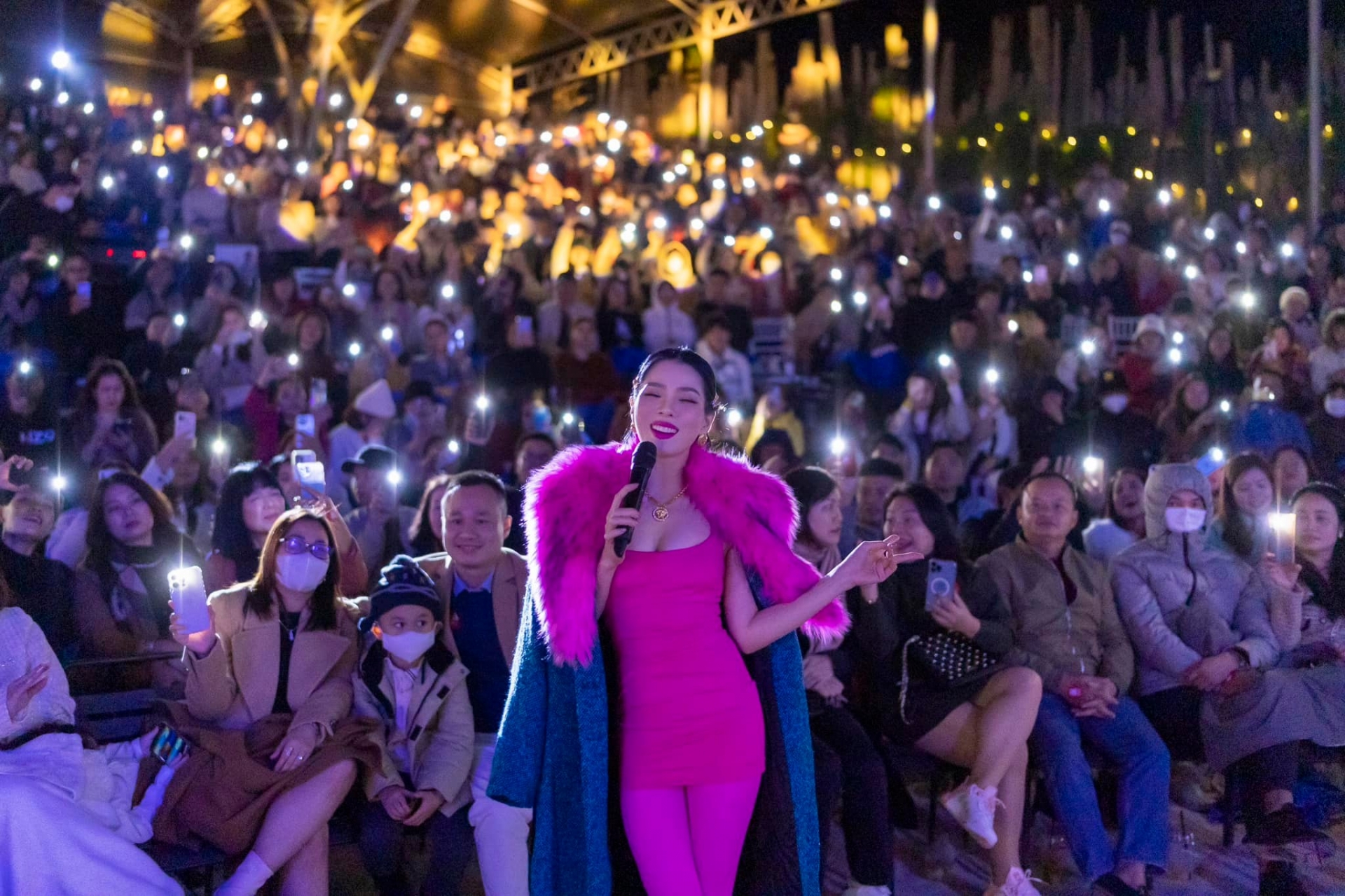 Hình ảnh Lệ Quyên đầy xinh đẹp và thần thái trong đêm nhạc mới đây. Ảnh: Facebook