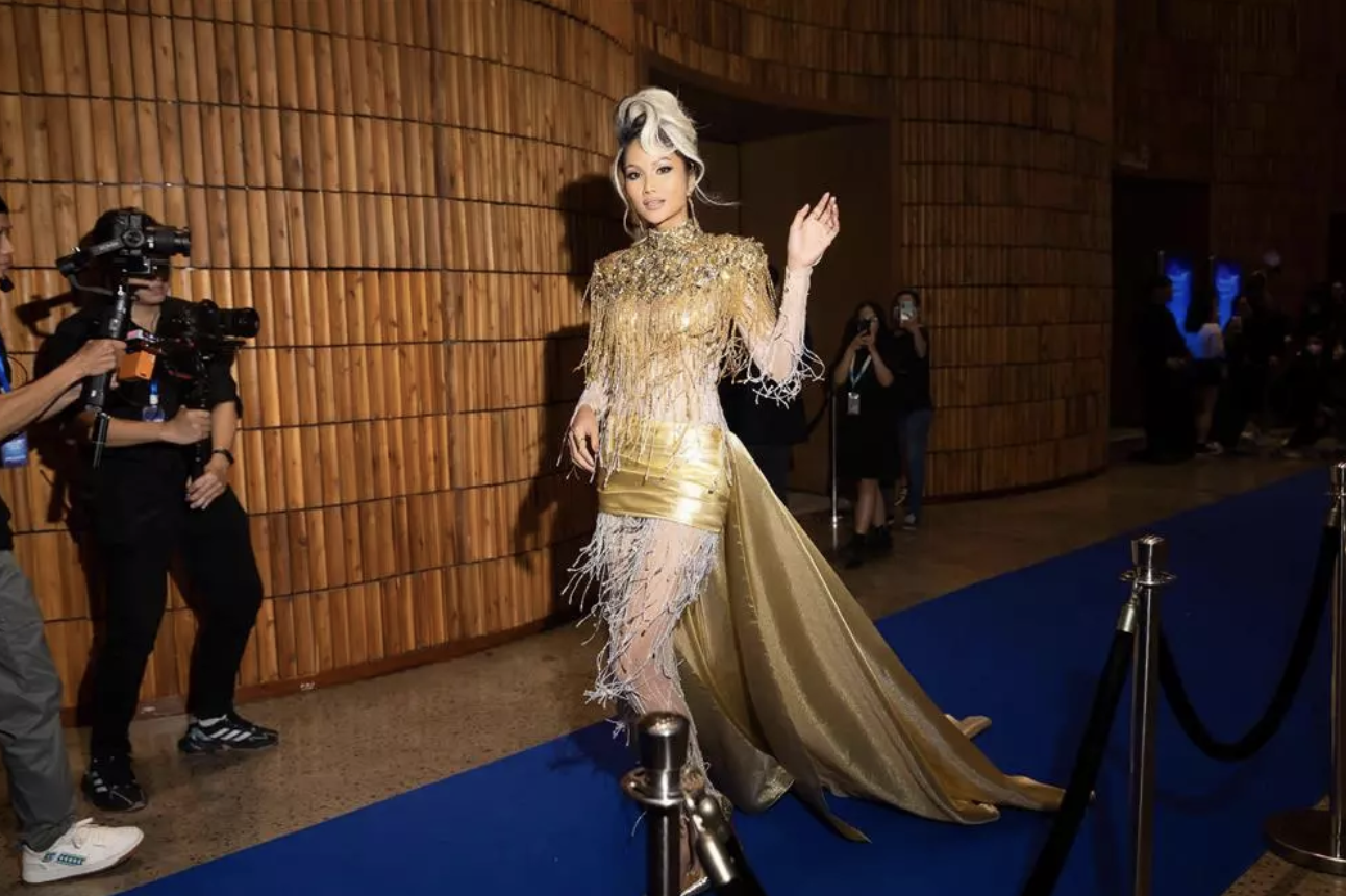 Bộ trang phục gây nhiều tranh cãi của H'Hen Niê. Ảnh: Internet