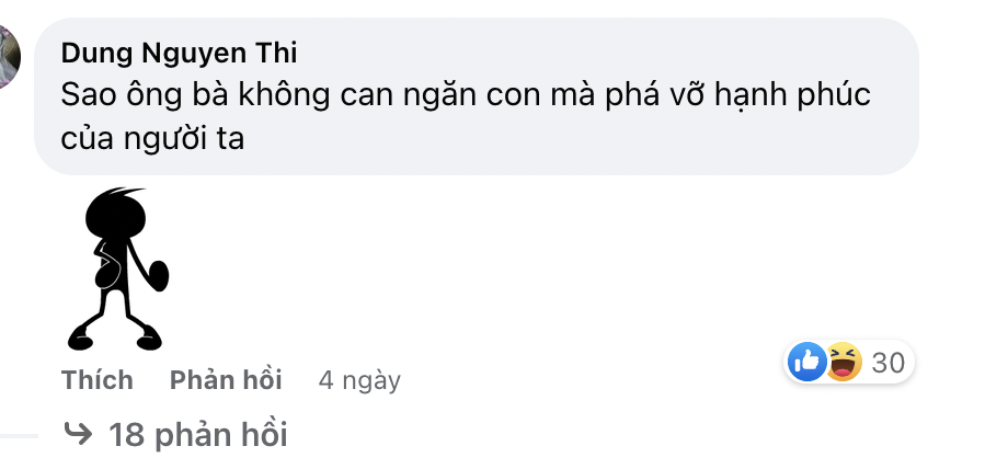 Bài đăng trên một fanpage chia sẻ về hình ảnh của Phương Oanh và gia đình nhận về nhiều ý kiến trái chiều. Ảnh: Facebook