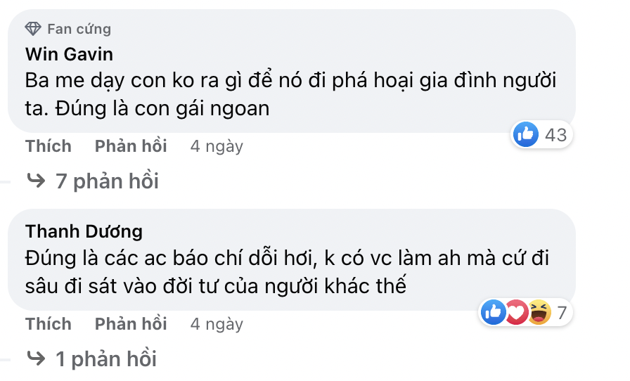 Dù bất ngờ nhận có lỗi nhưng Phương Oanh vẫn nhận về 'gạch đá' khi khoe ảnh hạnh phúc bên gia đình  - Ảnh 3