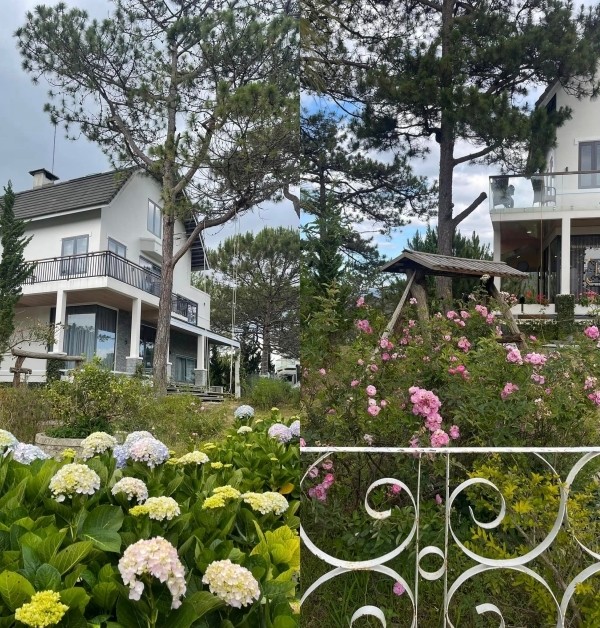 Trầm trồ với cơ ngơi mới bề thế của Thân Thúy Hà tại Đà Lạt - Ảnh 4