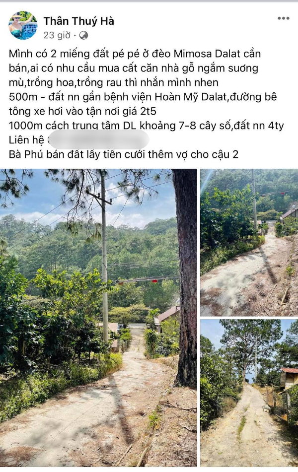 Thân Thúy Hà sở hữu nhiều khu BĐS giá trị. Ảnh: Facebook