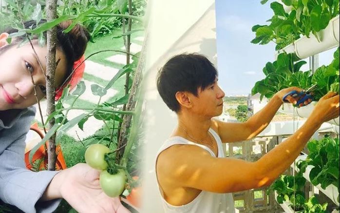 Gia đình Lý Hải và Minh Hà không theo đuổi đồ hiệu mà gắn bó với thiên nhiên, làm vườn. Ảnh: Internet Gia đình Lý Hải và Minh Hà không theo đuổi đồ hiệu mà gắn bó với thiên nhiên, làm vườn. Ảnh: Internet