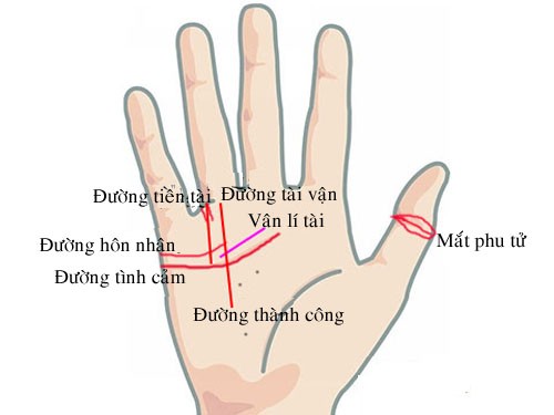 Cổ nhân nói không sai: Người có 3 đặc điểm này trong lòng bàn tay cả đời dư dả 2 Cổ nhân nói không sai: Người có 3 đặc điểm này trong lòng bàn tay cả đời dư dả 2