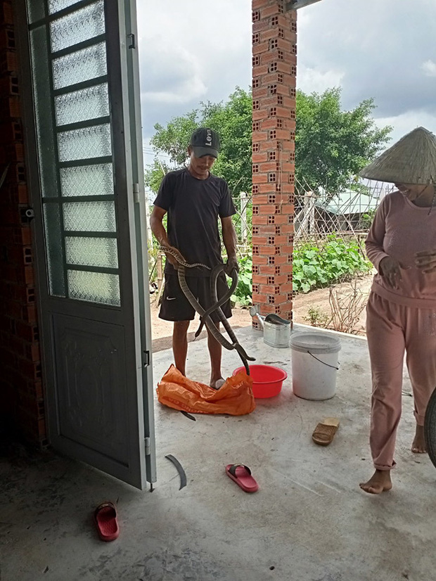 Nửa năm sau màn 'chạy trốn tử thần', cuộc sống của người đàn ông bị rắn hổ mang cắn hiện ra sao? - Ảnh 3 Nửa năm sau màn 'chạy trốn tử thần', cuộc sống của người đàn ông bị rắn hổ mang cắn hiện ra sao? - Ảnh 3