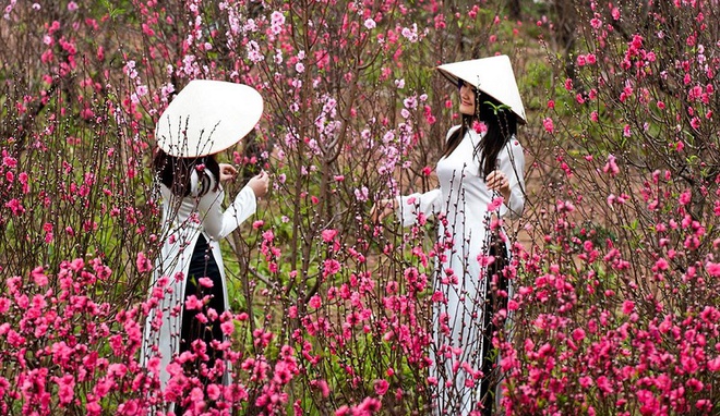 Thời tiết Tết Nguyên đán năm nay được dự báo sẽ ấm hơn nhiệt độ trung bình nhiều năm. Ảnh: Internet Thời tiết Tết Nguyên đán năm nay được dự báo sẽ ấm hơn nhiệt độ trung bình nhiều năm. Ảnh: Internet