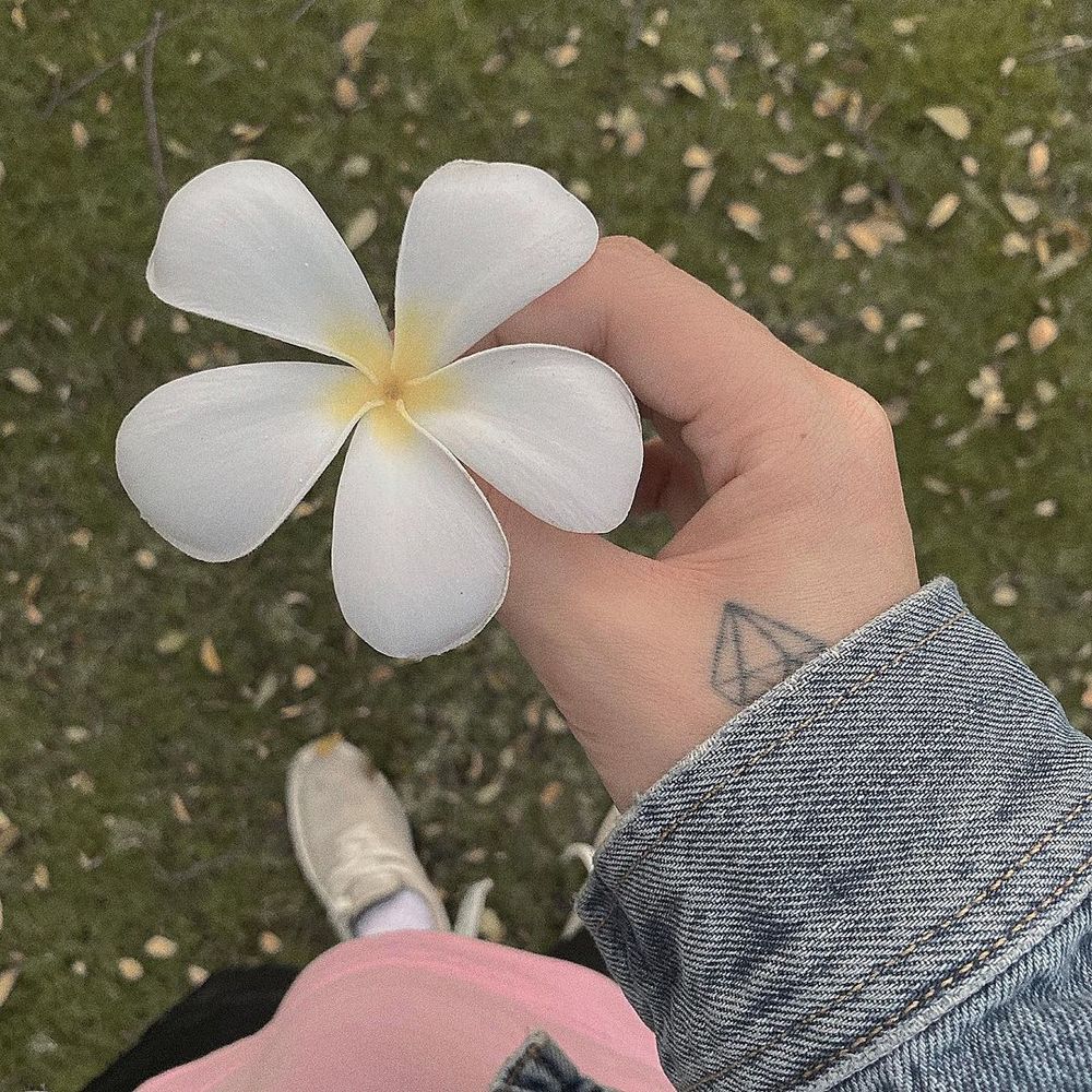 'Tha thu' hình kim cương không lẫn vào đâu được của chủ tịch. Ảnh: Internet