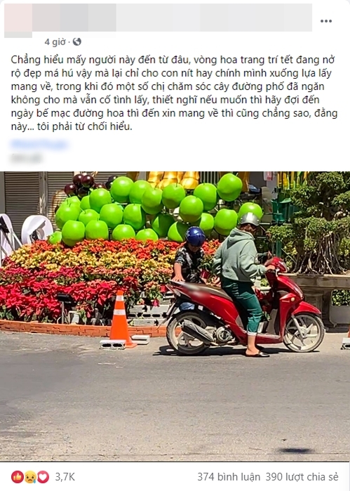 Vừa hết tết, người dân đã vội ra đường 'hôi hoa' đem về nhà - Ảnh 1 Vừa hết tết, người dân đã vội ra đường 'hôi hoa' đem về nhà - Ảnh 1