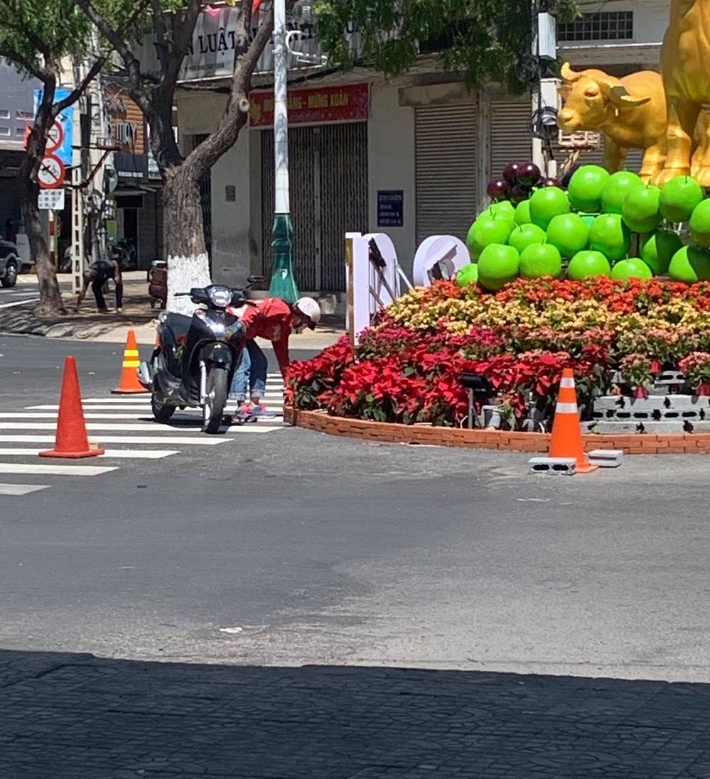 Vừa hết tết, người dân đã vội ra đường 'hôi hoa' đem về nhà - Ảnh 3 Vừa hết tết, người dân đã vội ra đường 'hôi hoa' đem về nhà - Ảnh 3