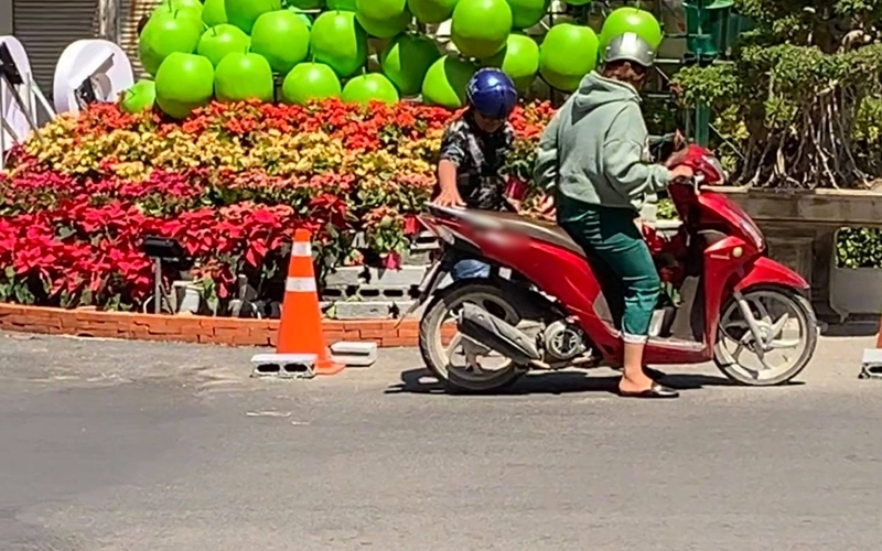Vừa hết tết, người dân đã vội ra đường 'hôi hoa' đem về nhà - Ảnh 2 Vừa hết tết, người dân đã vội ra đường 'hôi hoa' đem về nhà - Ảnh 2