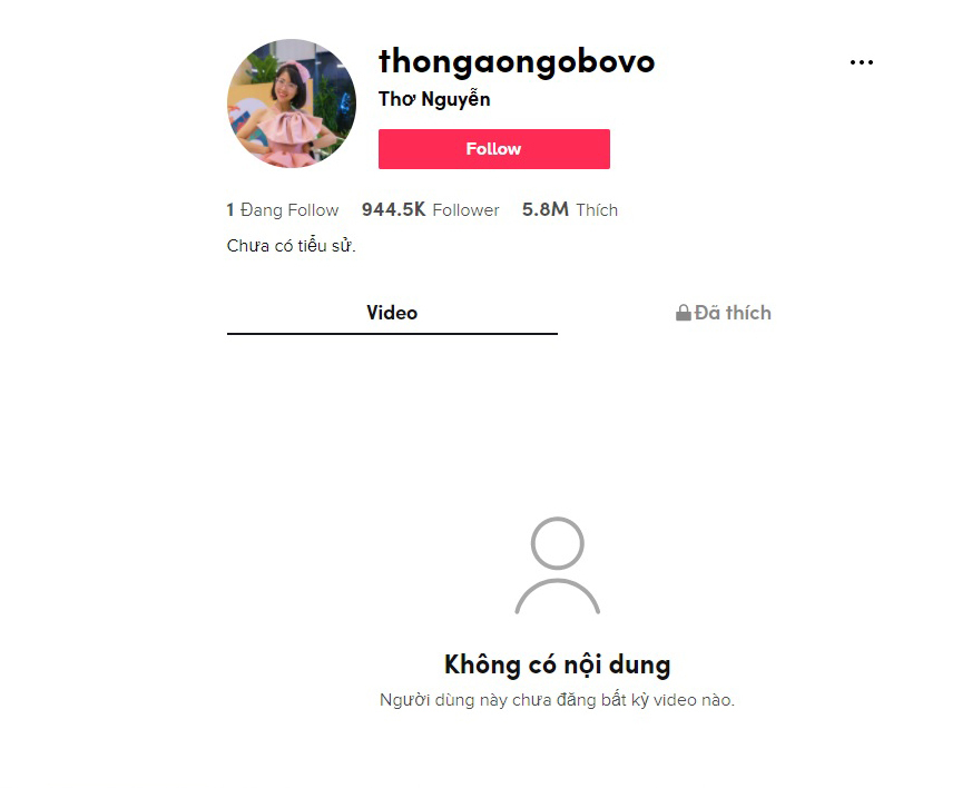 TIkTok của Thơ Nguyễn đã xóa hết hàng hàng loạt video có nội dung không phù hợp. Ảnh: Internet