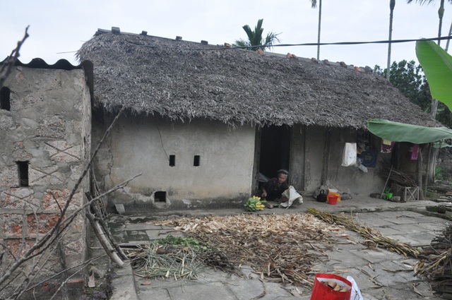 Căn nhà đơn sơ, mái lợp cọ của cụ Thước. Ảnh: Internet