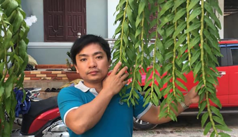 Anh Trần Đình Luật, người tham gia vụ giao dịch lan Hồng Bồng Lai kể trên. Ảnh: Internet Anh Trần Đình Luật, người tham gia vụ giao dịch lan Hồng Bồng Lai kể trên. Ảnh: Internet