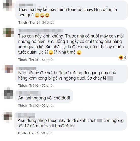 Bình luận của dân mạng Bình luận của dân mạng